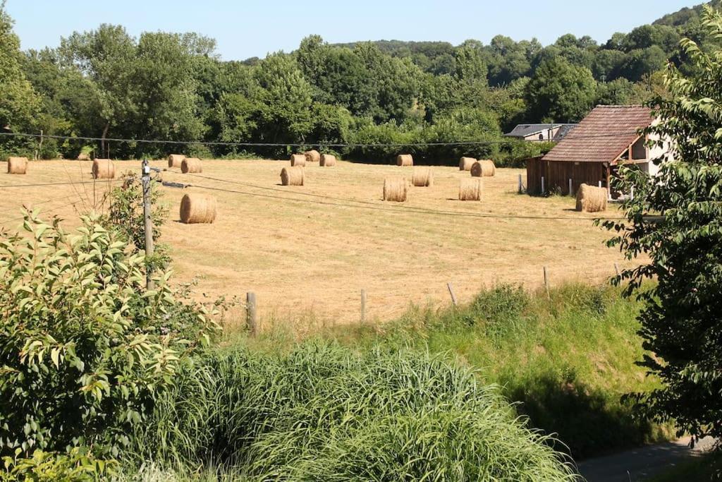 Le Haut Mesnil-3 Eksteriør billede